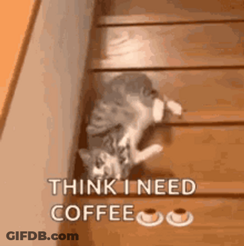 Cat Falling Stairs Need Coffee GIF