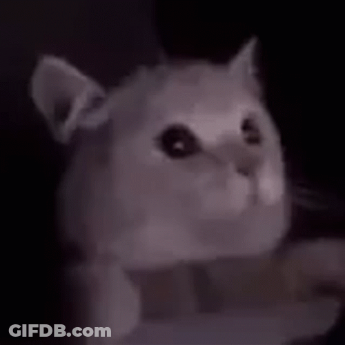 Cat Falls After Flashbang GIF