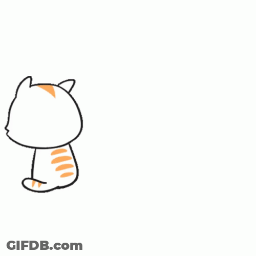 Cat Fart No GIF