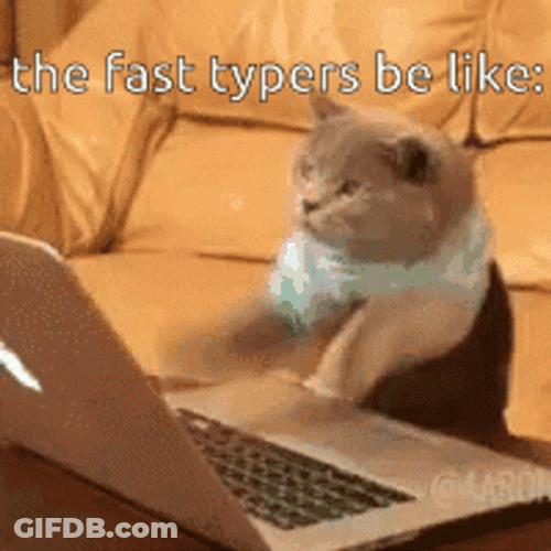 Cat Fast Computer Typing GIF