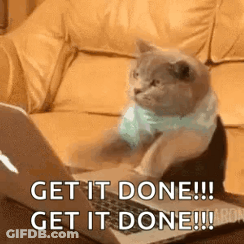 Cat Fast Typing Get It Done GIF