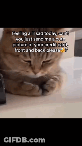Cat Feeling A Lil Sad Today GIF