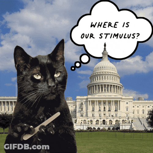 Cat Filing Nails Curious Salem Where Is It GIF