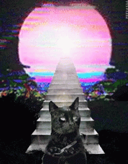 Cat Filing Nails Salem Glitching Aesthetic Stairway GIF