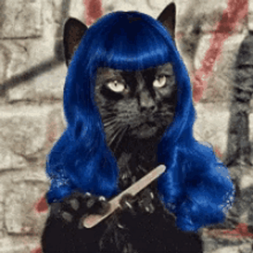 Cat Filing Nails Salem Sassy Blue Wig GIF