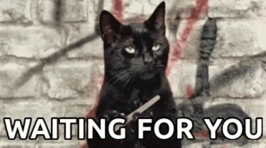 Cat Filing Nails Salem Waiting For You GIF