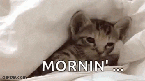 Cat Fireman Saying It's Always Good Morning GIF