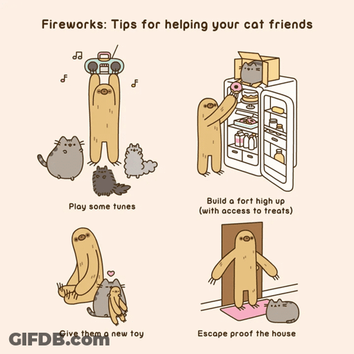 Cat Fireworks Tips Play Tunes Give Toy GIF