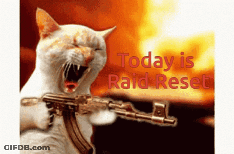 Cat Firing Guns Raid GIF