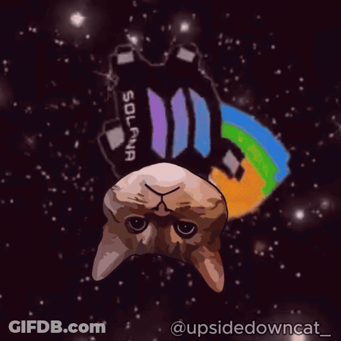 Cat Floating In Space With Solana Logo GIF