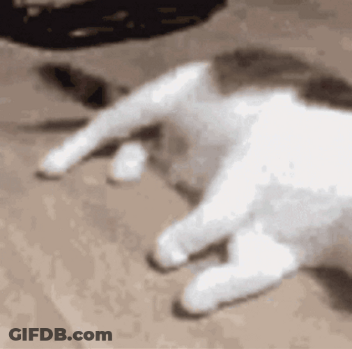 Cat Flop On Floor GIF