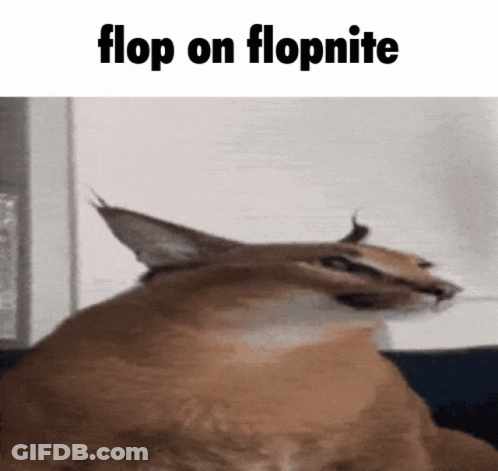 Cat Flop On Flopnite GIF
