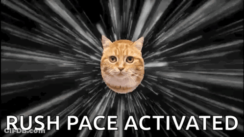 Cat Flying In Space Rush Pace Activated GIF