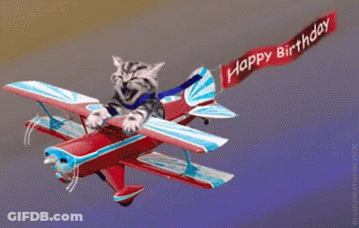 Cat Flying On Plane With Happy Birthday Banner GIF