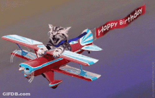 Cat Flying Plane Happy Birthday Banner GIF