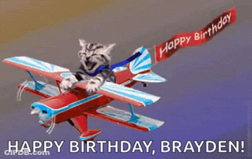 Cat Flying Plane With Happy Birthday Banner GIF