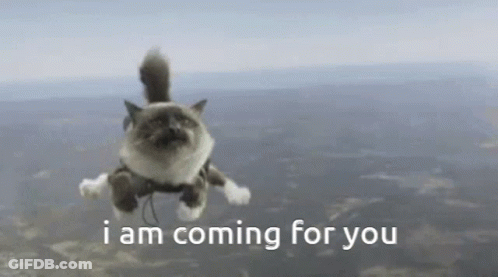 Cat Flying Saying I Am Coming For You GIF