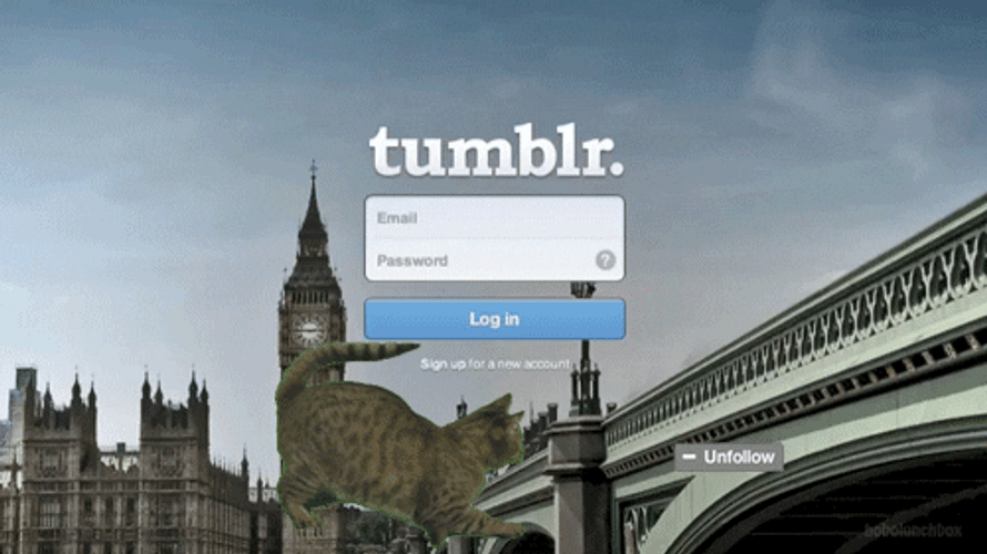 Cat Follow London Bridge Tumblr GIF
