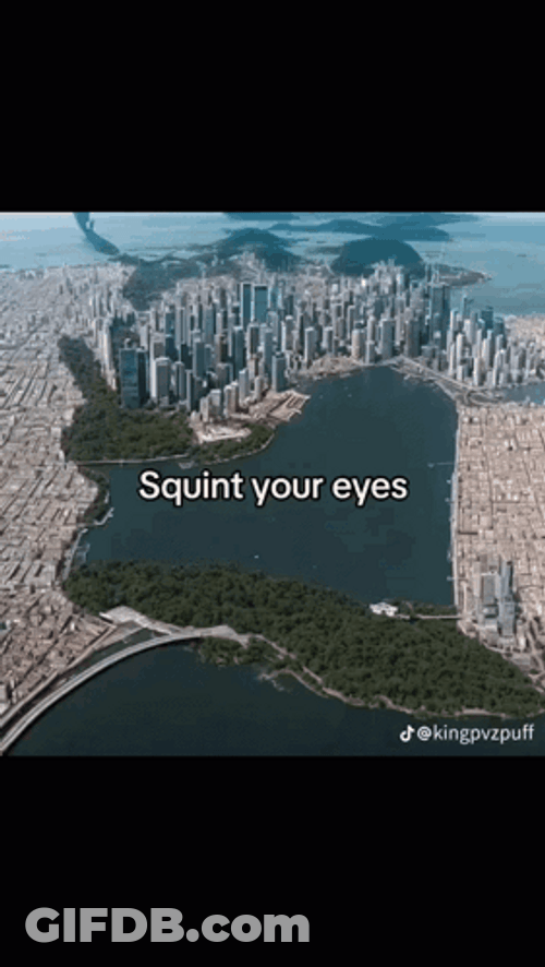 Cat Following Instruction Squinting GIF