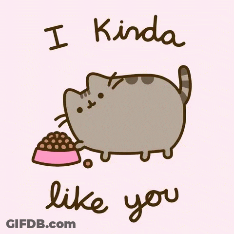 Cat Food Bowl Saying I Kinda Like You GIF