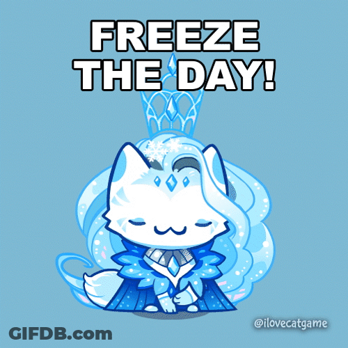 Cat Freeze The Day GIF