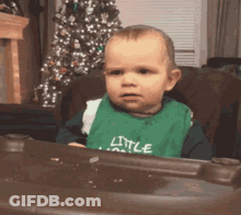 Cat Friends Are The Jewels Of Our Hearts GIF