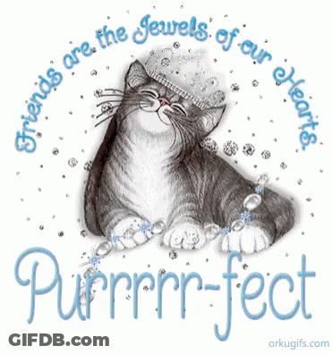 Cat Friends Are The Jewels Of Our Hearts GIF