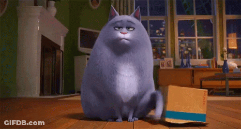 Cat From Secret Life Of Pets Playing With Tennis Ball GIF