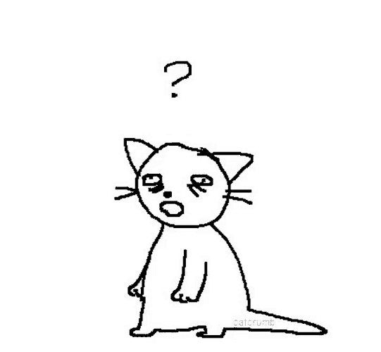Cat Funny Meme GIF