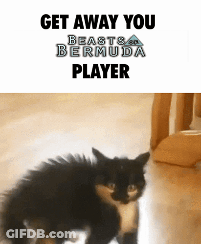 Cat Get Away You Beasts Of Bermuda Player GIF