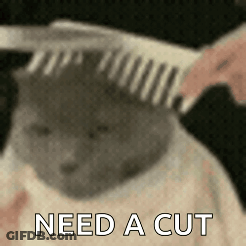 Cat Getting Haircut Need A Cut GIF