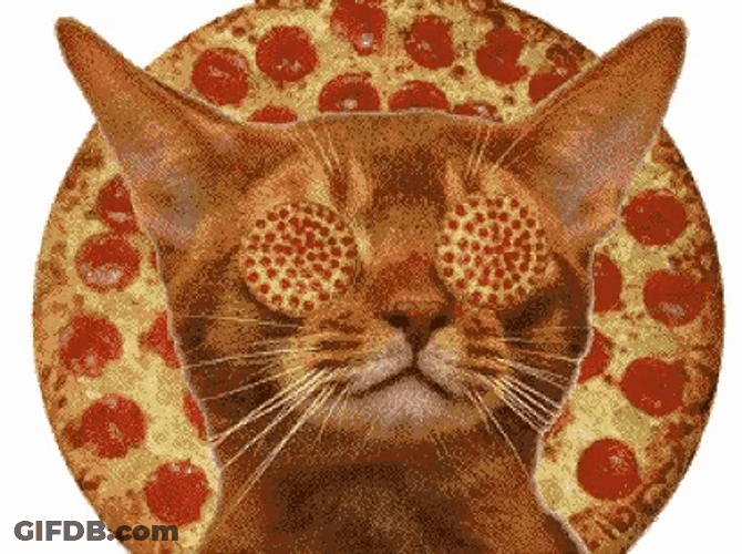 Cat Getting Hypnotized By Pizza GIF