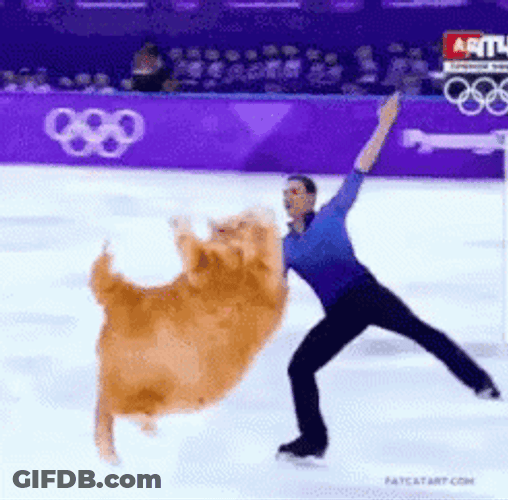 Cat Getting Lifted Ice Skating GIF
