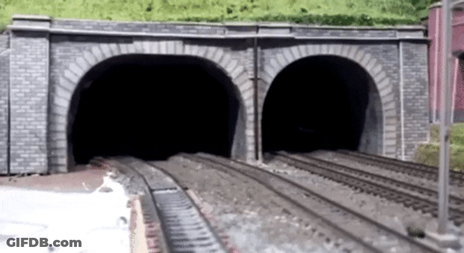 Cat Getting Out Of Train Tunnel GIF