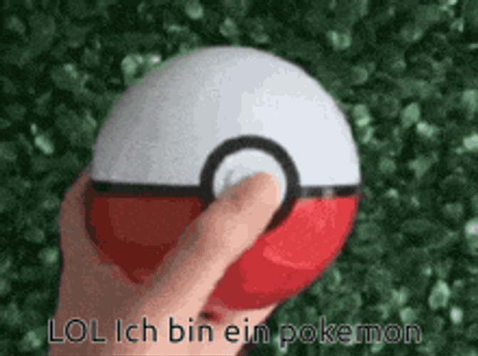 Cat GIF