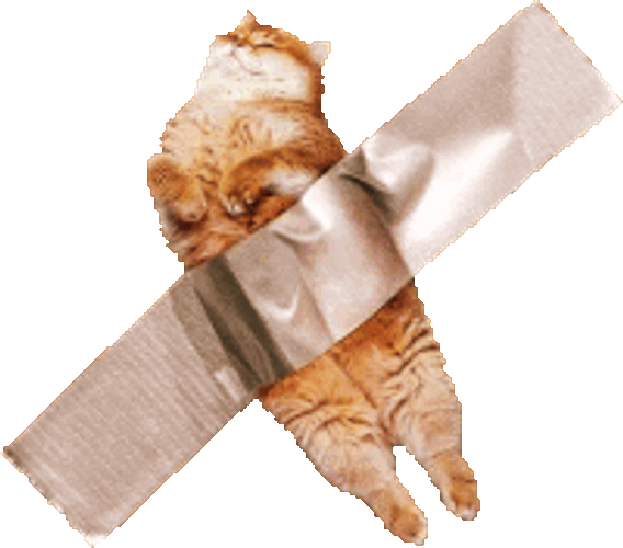 Cat Ginger Cat Sticker GIF