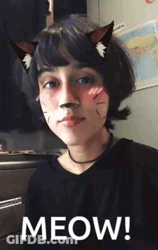 Cat Girl Real Cat GIF