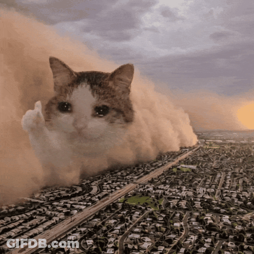 Cat Giving Middle Finger In Dust Storm GIF