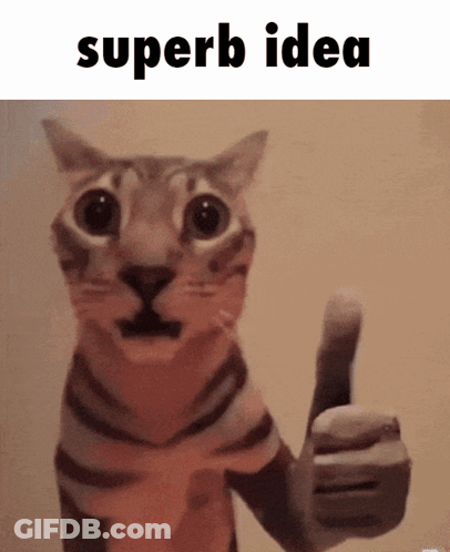 Cat Giving Thumbs Up Saying Superb Idea GIF