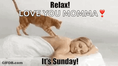 Cat Giving Woman Massage Sunday GIF