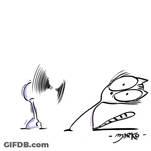 Cat Got Carried By Strong Wind GIF
