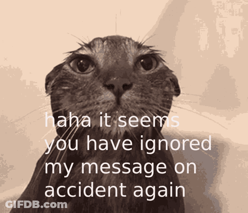 Cat Haha You Ignored My Message On Accident Again GIF