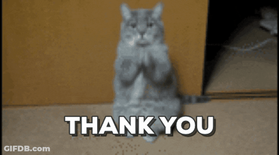 Cat Handshake Animated Thank You GIF