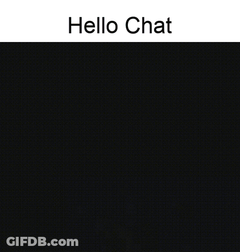Cat Hanging From Ceiling Saying Hello Chat GIF