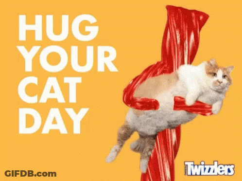 Cat Hanging From Red Candy Stick Hug Your Cat Day GIF