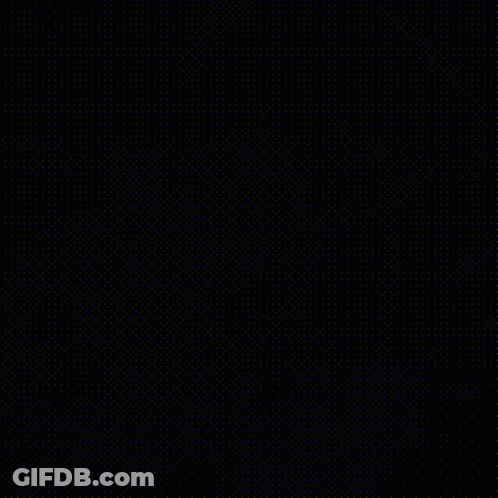Cat Hanging From Tree Branch Good Morning Windy Day GIF