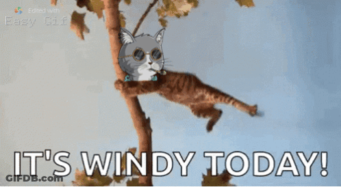 Cat Hanging From Tree Branch Saying It's Windy Today GIF