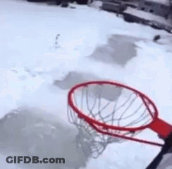 Cat Hanging From Tree Branch Saying Yep Just A Bit Windy GIF