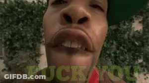 Cat Hanging From Tree Branch Saying Yep Just A Bit Windy GIF