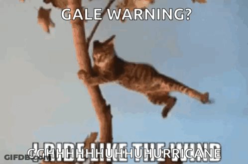Cat Hanging From Tree Branch With Warning Message GIF